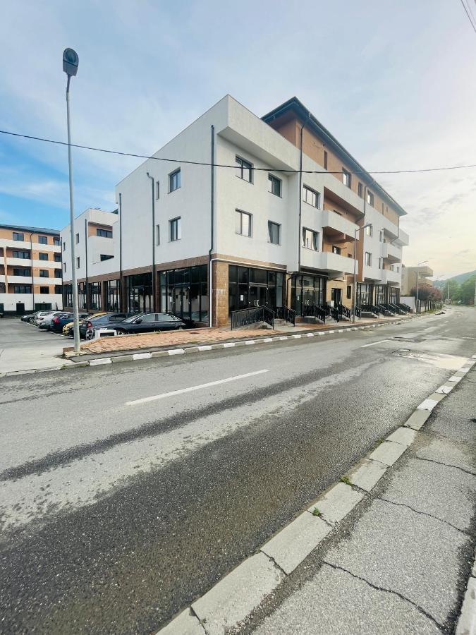 Apartament Yra Rm.Valcea Râmnicu Vâlcea Eksteriør billede